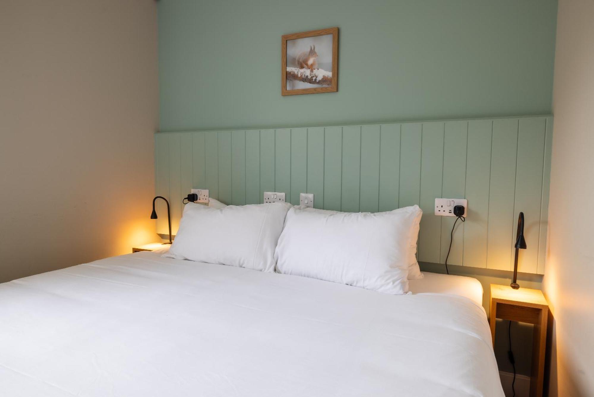 An Spiris Accommodation At Dundreggan Rewilding Centre Extérieur photo